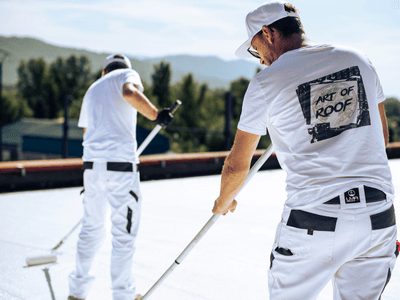 About Leaking Skylight Repair Pros Flagstaff, AZ